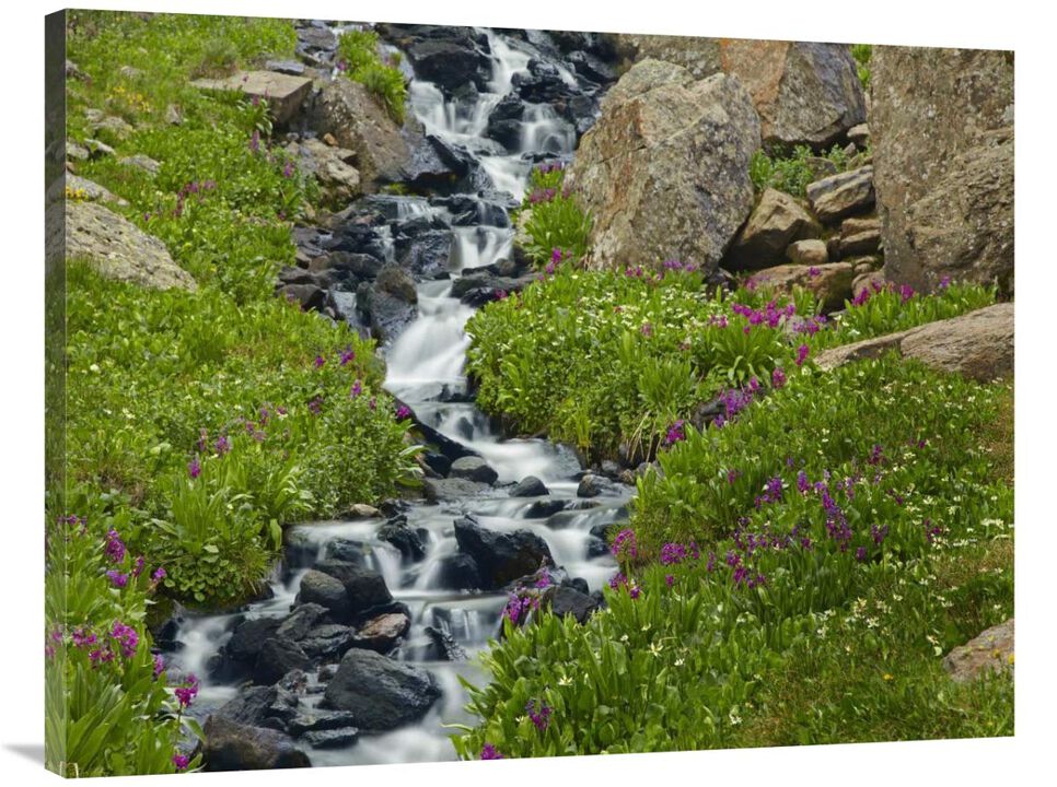 Porphyry Creek near Silverton, Colorado-Canvas Art-40x30