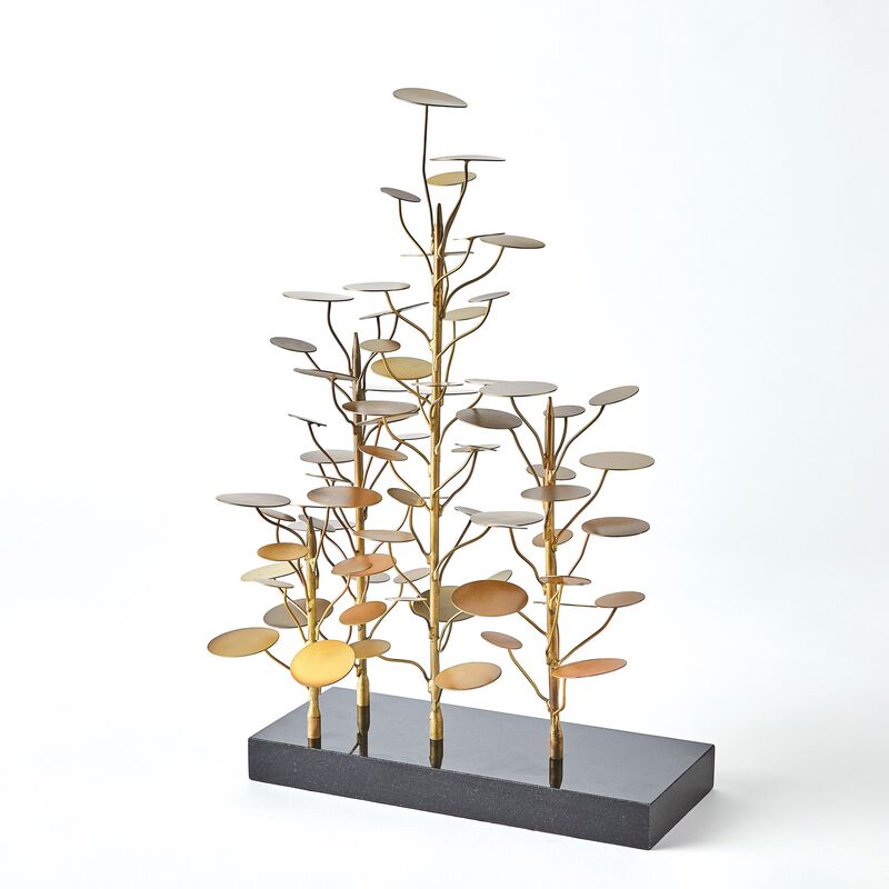 Eucalyptus Tree
