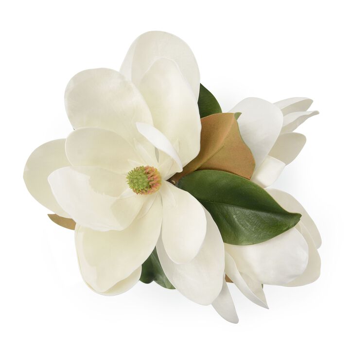 Glowing Magnolias