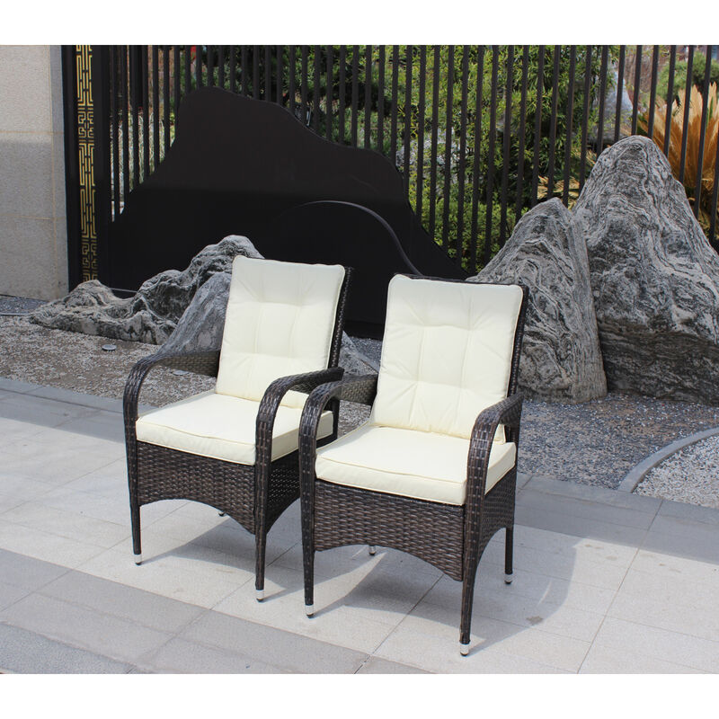 2-Piece Liberatore Dining Chairs With Cushions (Cushion)
