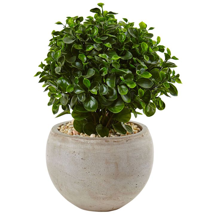 Hivvago 2" Eucalyptus in Sand Colored Bowl UV Resistant (Indoor/Outdoor)