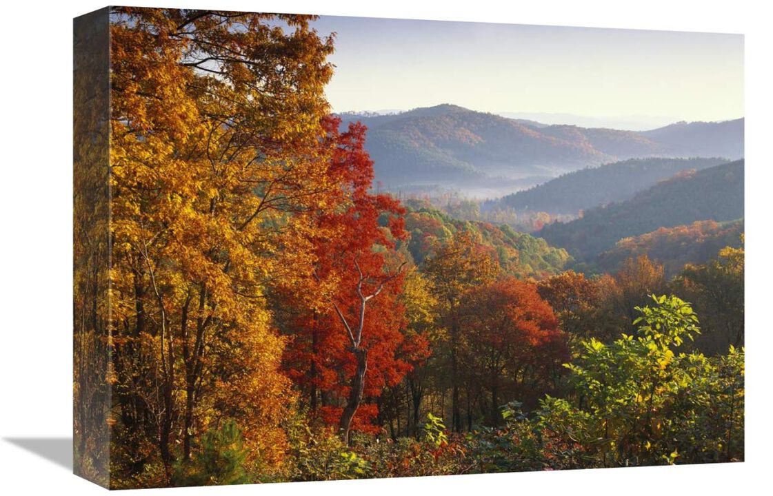 Autumn foliage on Blue Ridge Range near Jumping Off Rock, North Carolina-Canvas Art-16x12