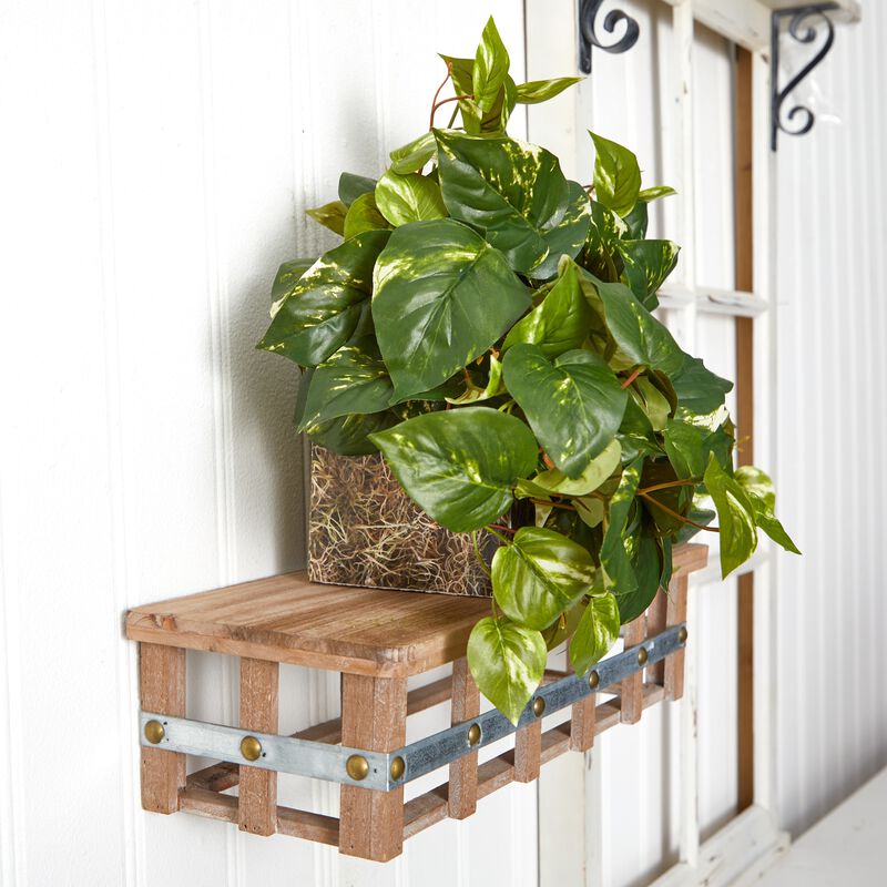 Nearly Natural Pothos Ledge Plant (Set on Foam) Silk Plant