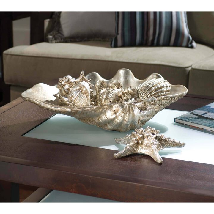 Clam Shell Medium with Small Shells