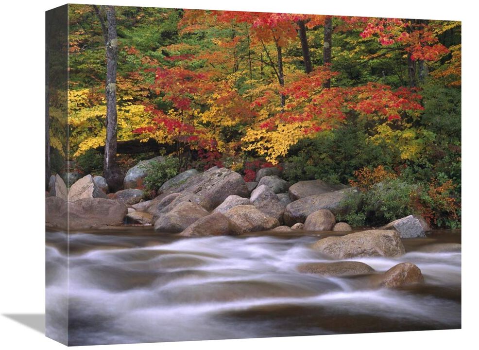 Autumn along Swift River, White Mountains National Forest, New Hampshire-Canvas Art-16x13.28