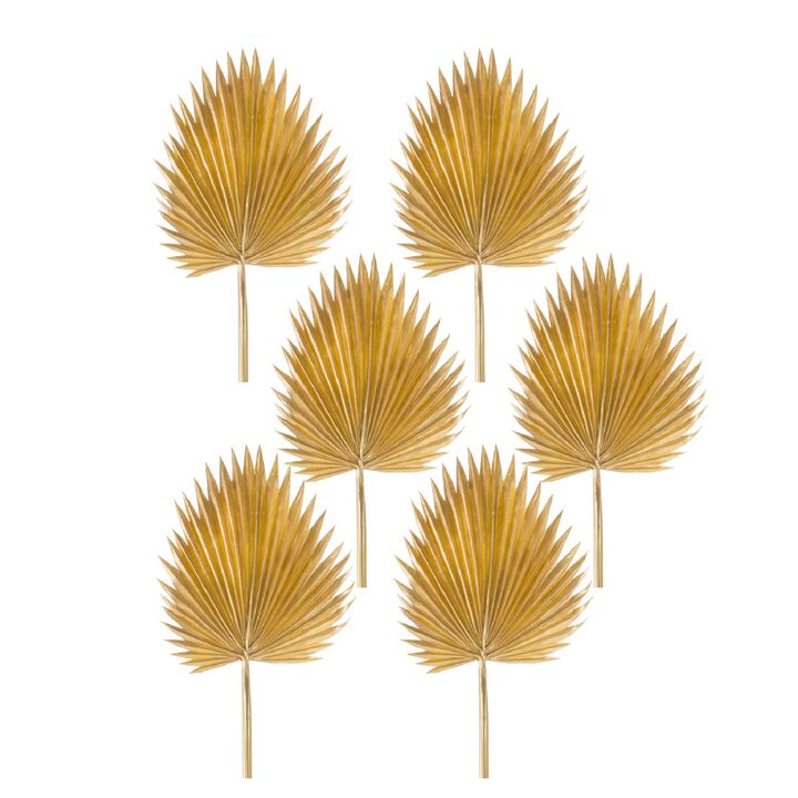 Fan Palm Leaf Set of 6 for Luxe, Exotic Decor and Party Styling