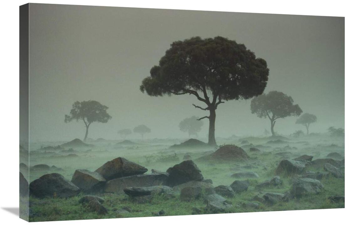 Rain storm on the Serengeti Plains, Kenya-Canvas Art-30x20