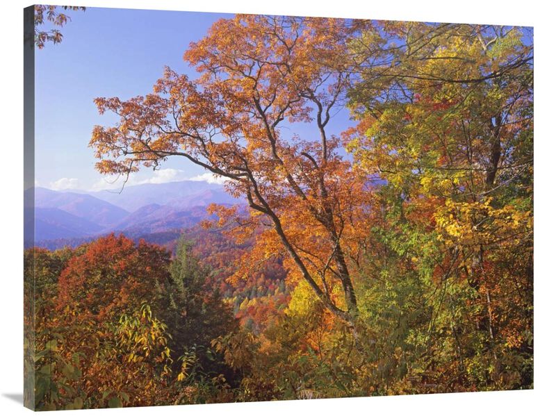 Great Smoky Mountains from, Blue Ridge Parkway, North Carolina-Canvas Art-40x30