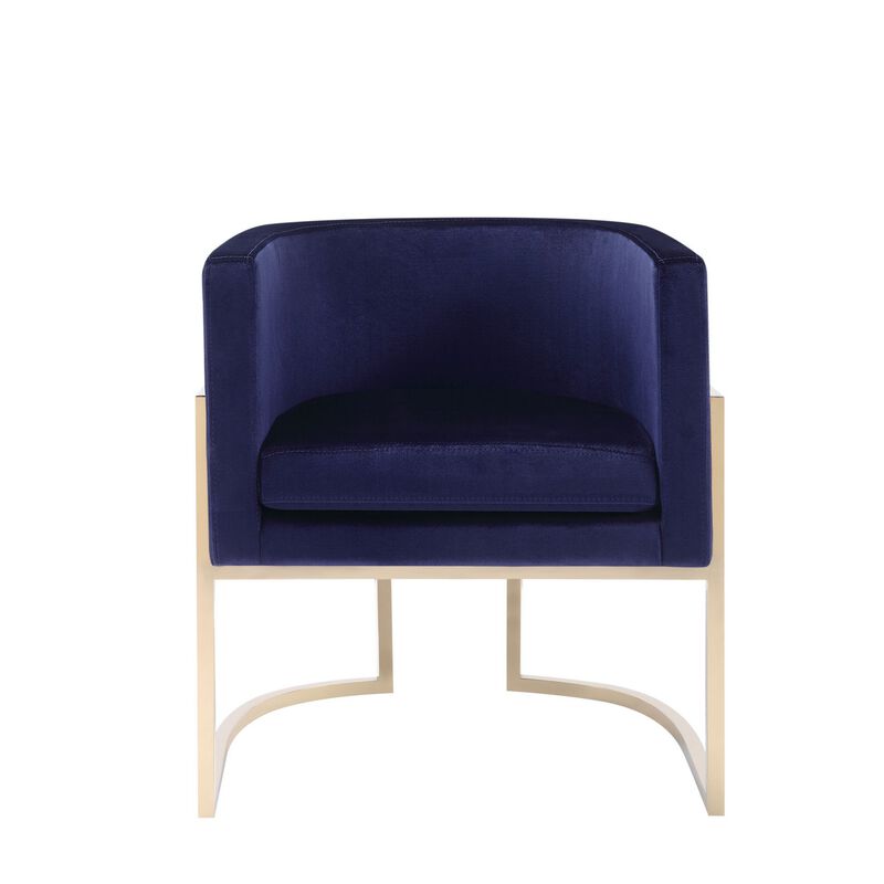 Naaz 24 Inch Kids Chair, Round, Blue Cushioned Velvet, Cantilever Gold Base - Benzara