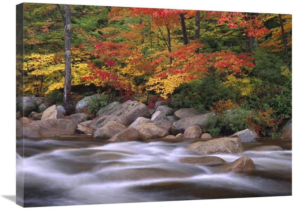 Autumn along Swift River, White Mountains National Forest, New Hampshire-Canvas Art-32x24
