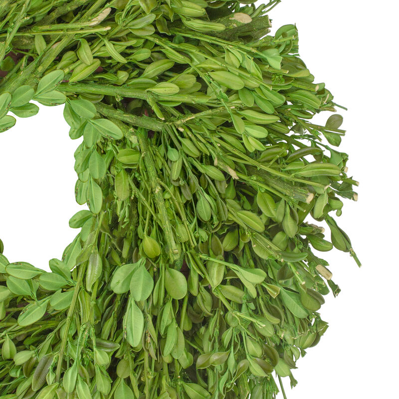 Green Foliage Artificial Spring Wreath  10-Inch