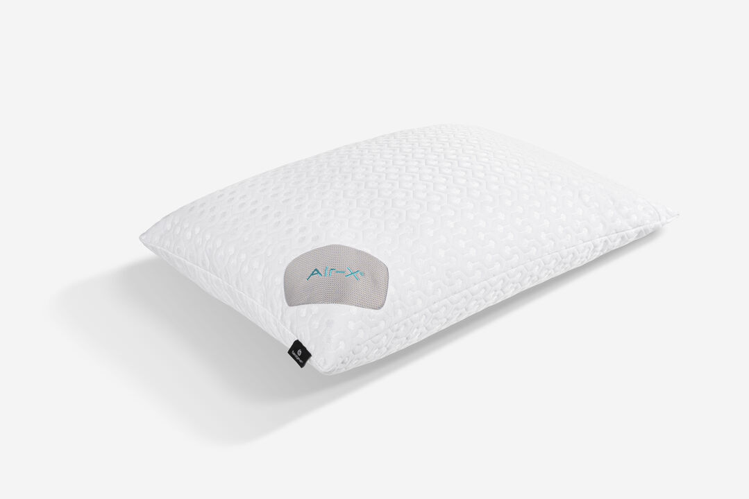 Dri-Tec with Air-X Queen Pillow Protector