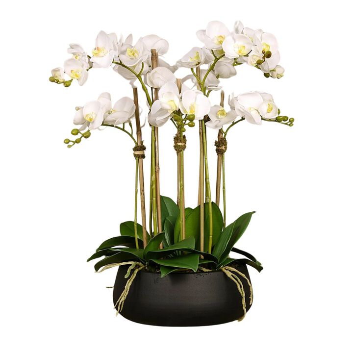 Faux floral arrangement - white orchid centerpiece in black vase