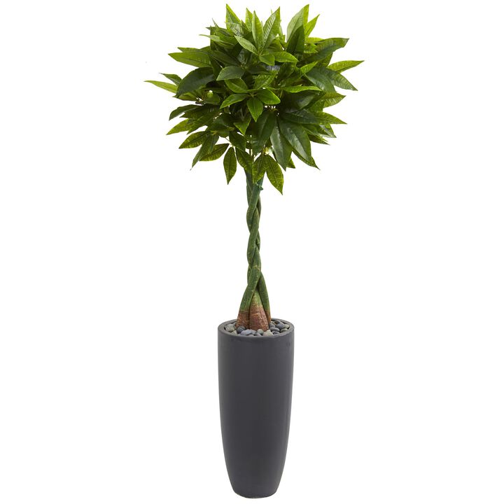 Hivvago 6 Feet Money Artificial Tree in Gray Cylinder Planter (Real Touch)