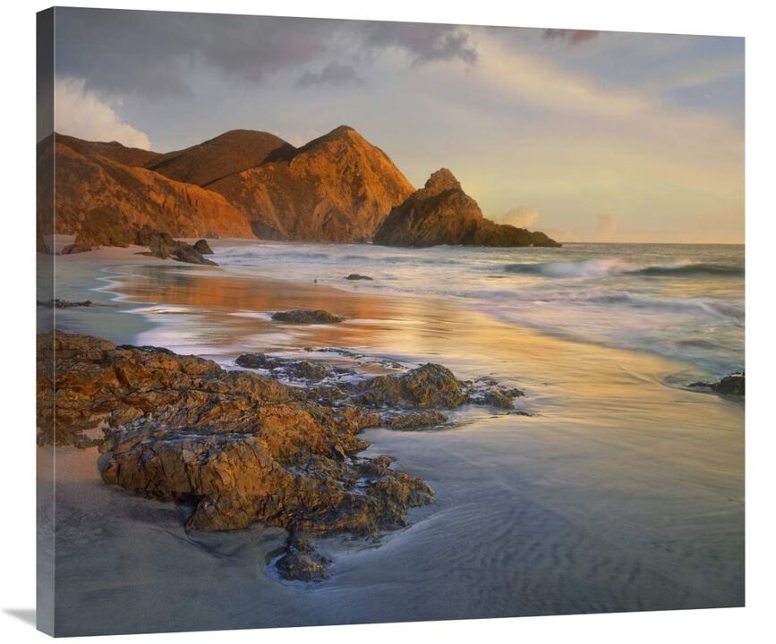 Bean Hollow Beach, Big Sur, California-Canvas Art-36x31.68