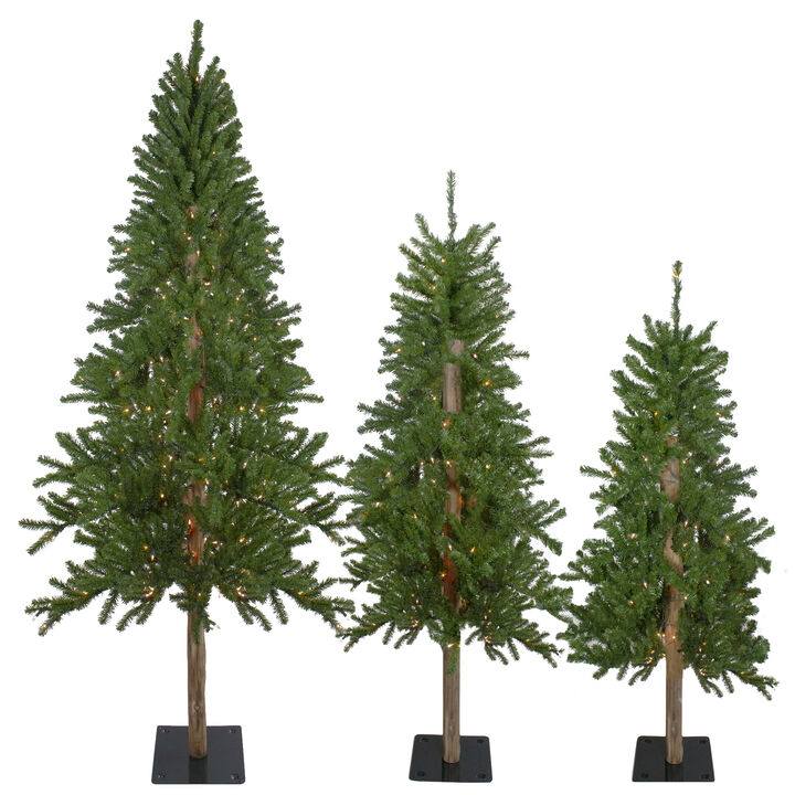Set of 3 Pre-Lit Slim Alpine Artificial Christmas Trees 6' - Clear Lights