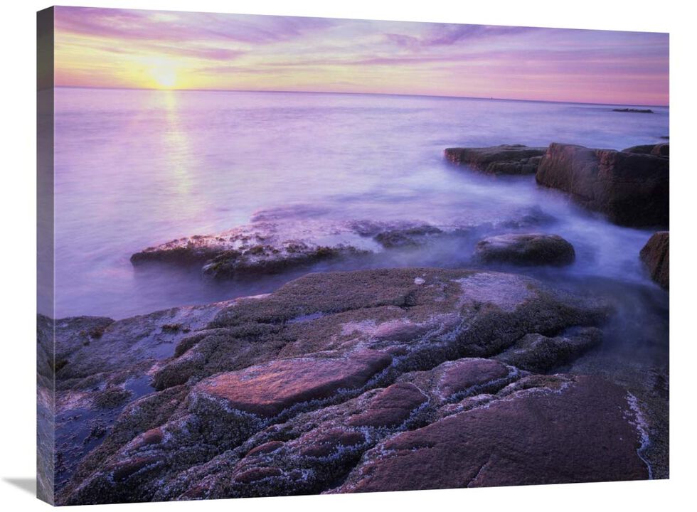Atlantic coast near Thunder Hole, Acadia National Park, Maine-Canvas Art-32x24