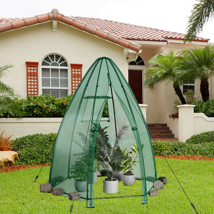 Portable Mini Greenhouse with All-Weather PE Cover