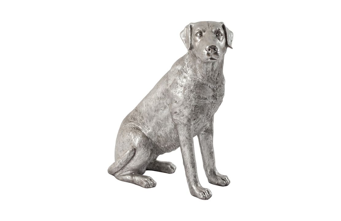 Labrador Sitting Dog