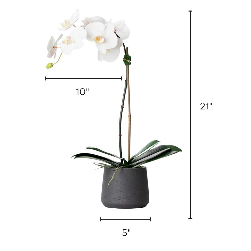 Faux Potted Orchid Plant - White Orchid- 21"