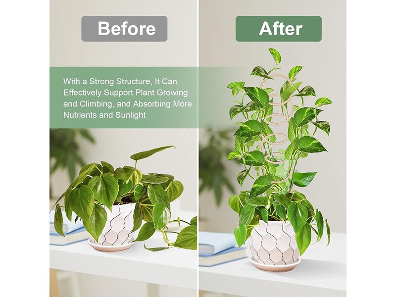 OYOEETD Small Garden Trellis for Potted Plants,with Moisture-Proof Layer Plant Stakes