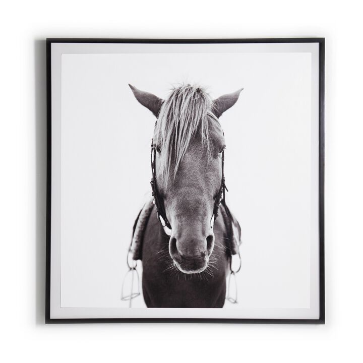 Horse Black 2.5 Maple