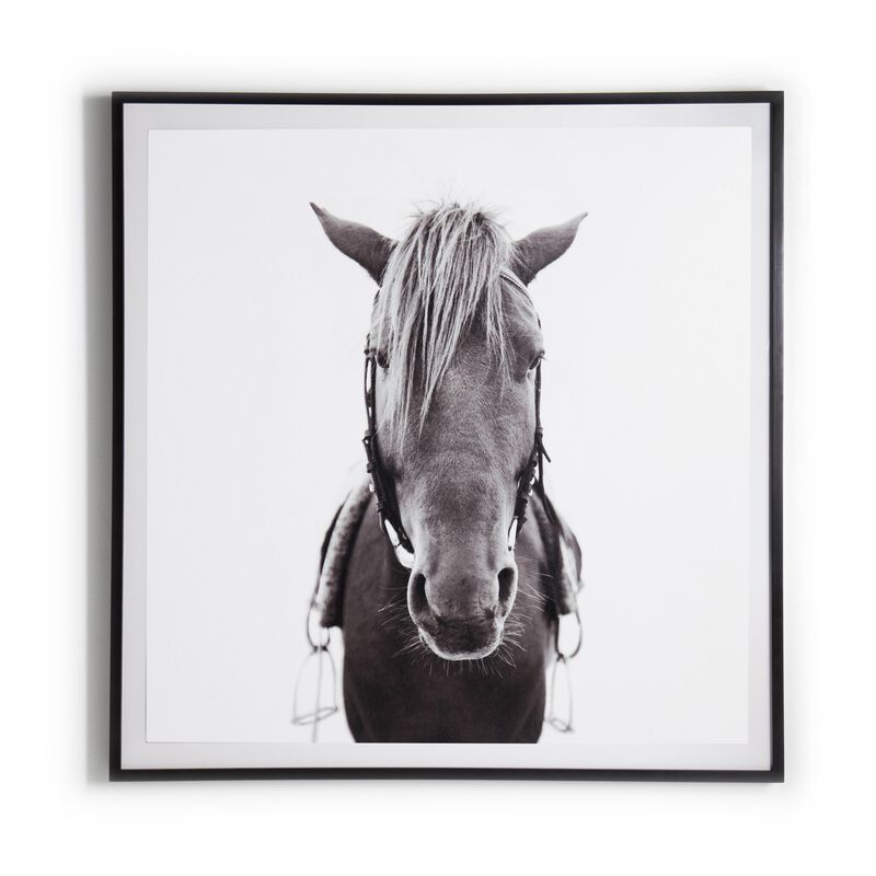 Horse Black 2.5 Maple