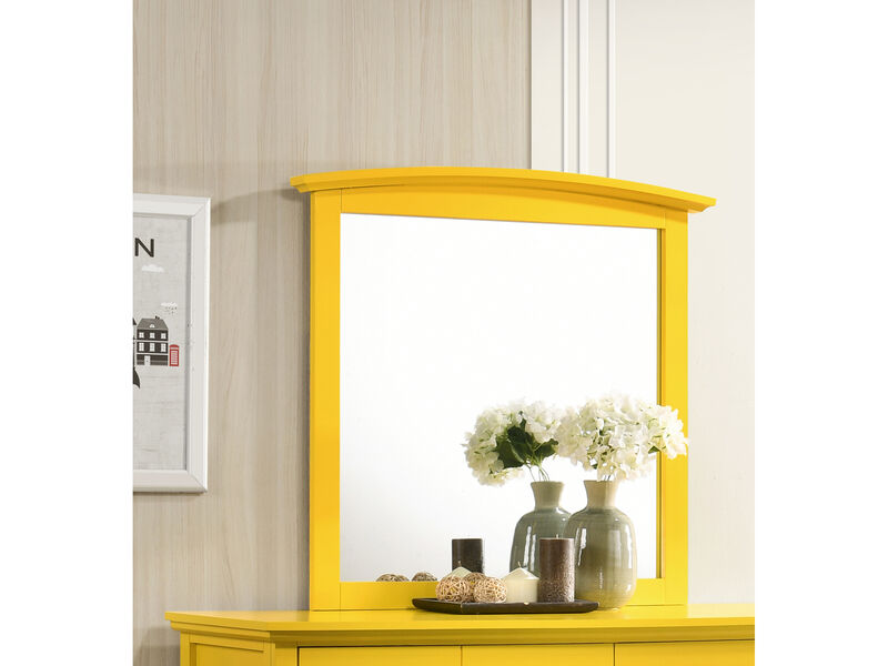37 in. x 35 in. Classic Rectangle Framed Dresser Mirror