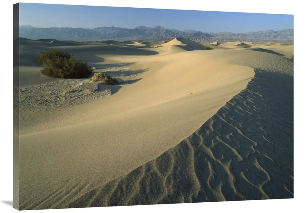 Mesquite Flat Sand Dunes, Death Valley National Park, California-Canvas Art-40x30