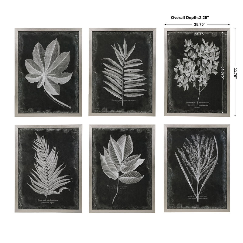Foliage Framed Prints (Set of 6)