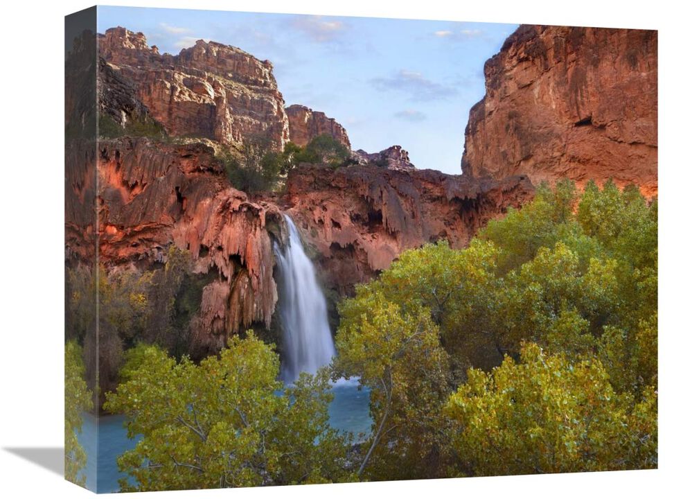 Havasu Falls, Grand Canyon, Arizona-Canvas Art-16x13.28