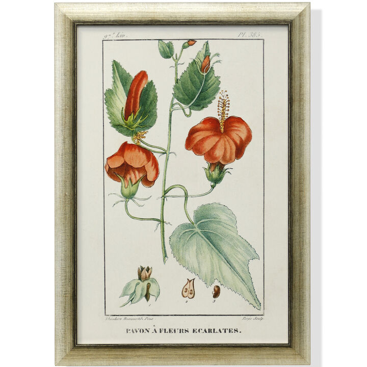 Framed Print Under Glass