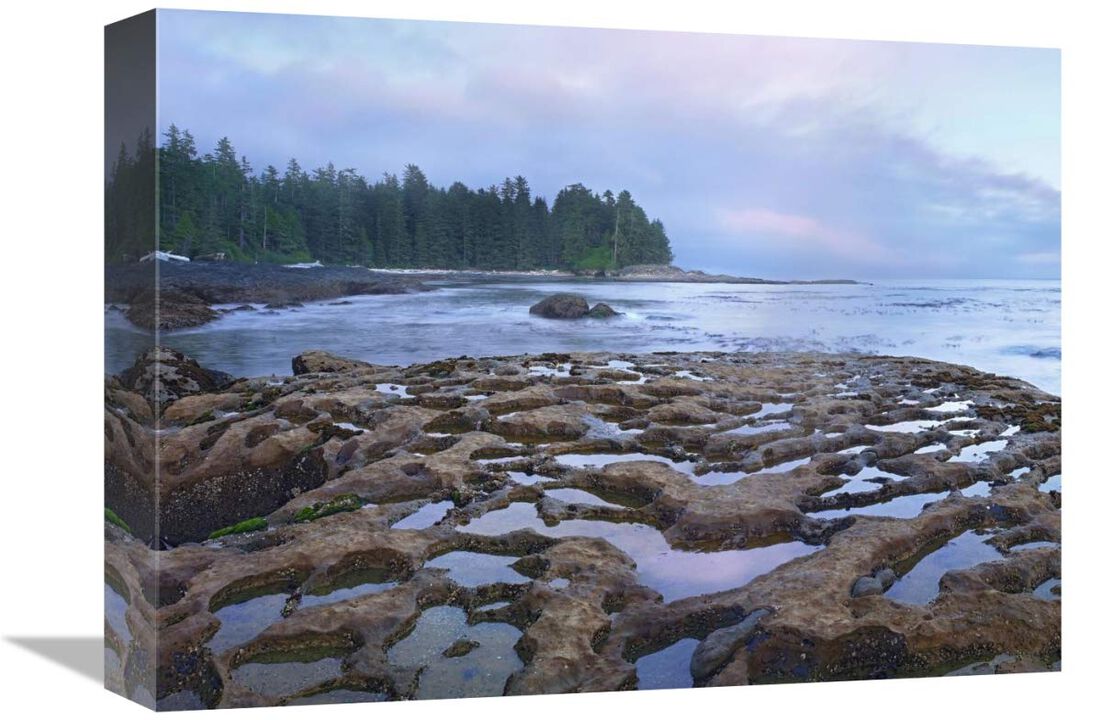 Tide pools exposed at low tide, Botanical Beach, Juan de Fuca Provincial Park, Vancouver Island, British Columbia, Canada-Canvas Art-16x12