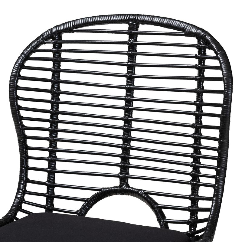 Bali & Pari Brenna Modern Bohemian Black Finished Rattan and Metal 2-Piece Dining Chair Set