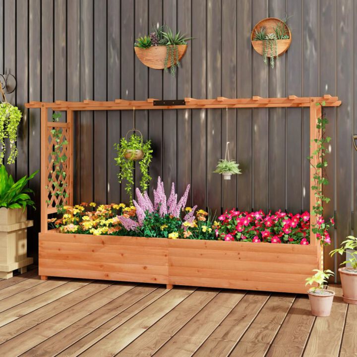 Hivvago Raised Garden Bed with Side Trellis Hanging Roof and Planter Box
