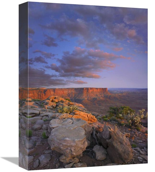 View from the Green River Overlook, Canyonlands National Park, Utah-Canvas Art-12x16