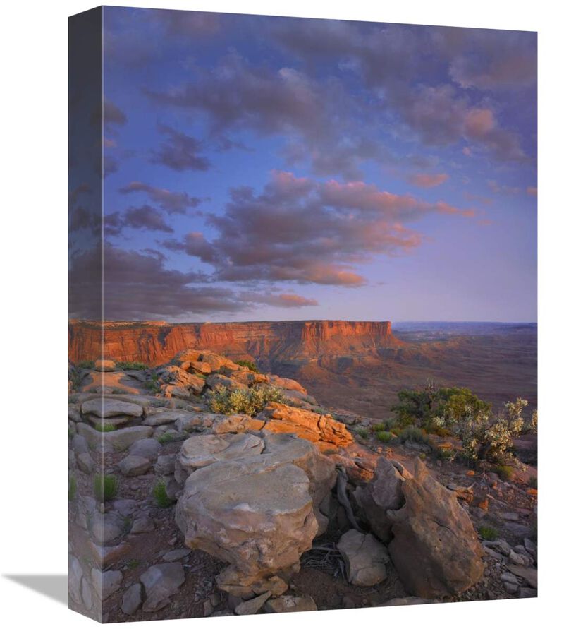 View from the Green River Overlook, Canyonlands National Park, Utah-Canvas Art-12x16