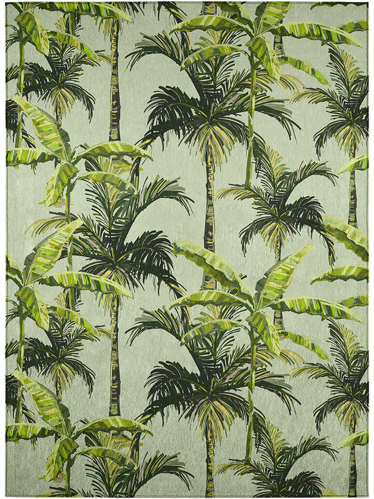 Tropics TC10 Collection