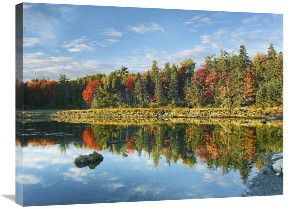 Coastline, Mount Desert Island, Maine-Canvas Art-32x24