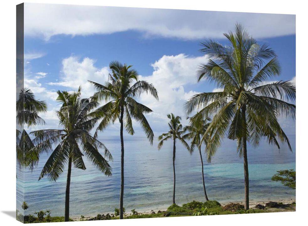 Coconut Palm trees, Bikini Beach, Panglao Island, Philippines-Canvas Art-32x24