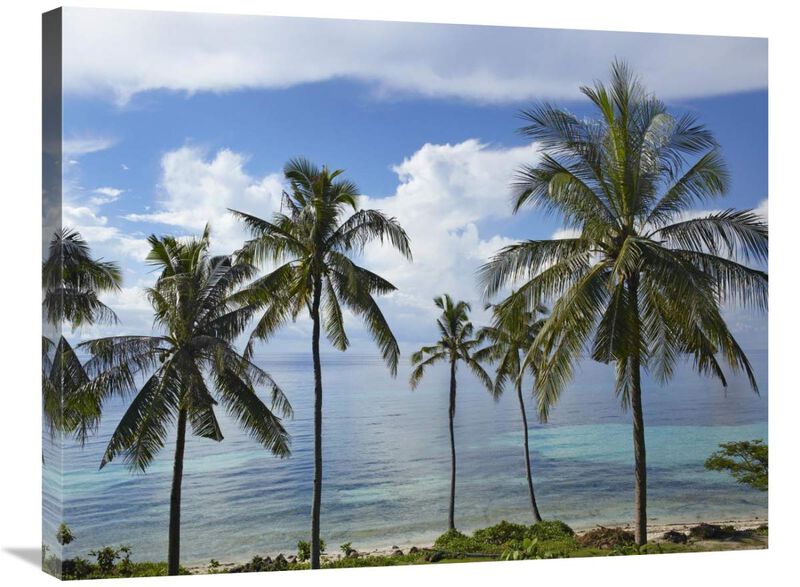 Coconut Palm trees, Bikini Beach, Panglao Island, Philippines-Canvas Art-32x24