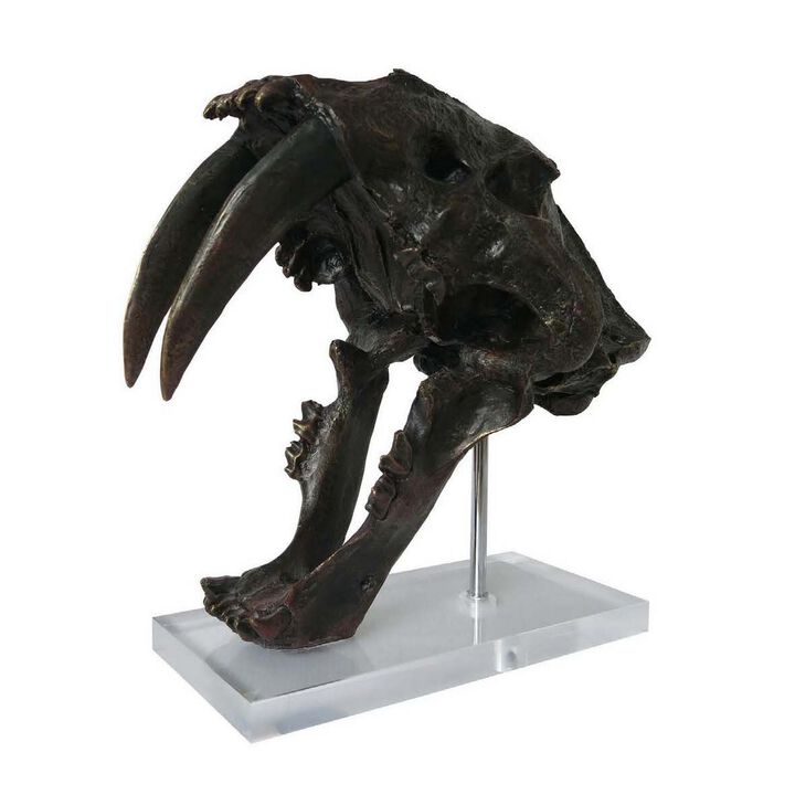 Rimaa Sabertooth Tiger Tabletop Decor, Black Resin, Acrylic, 13 Inch - Benzara