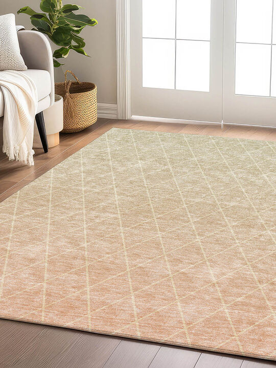 Lazio LZ2 Salmon 5' x 7'6" Rug