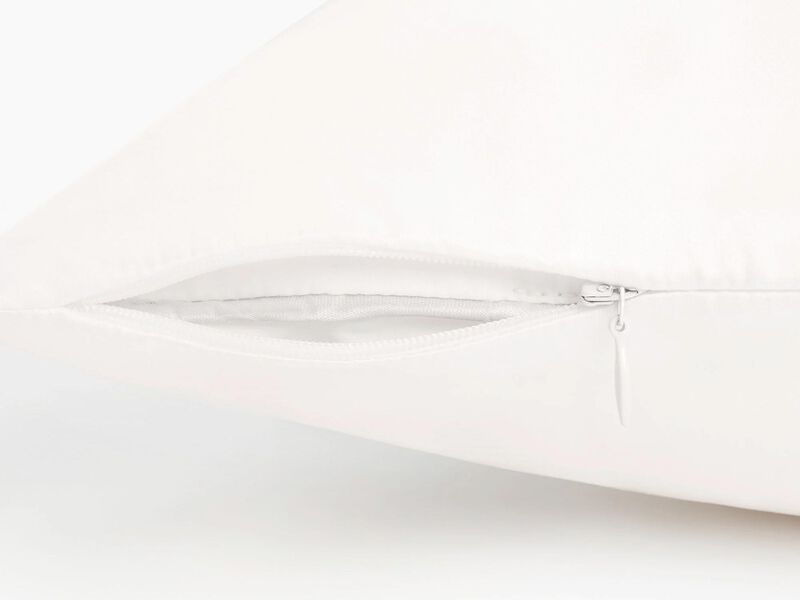 LilySilk 100% 19 Momme Pure Silk Pillowcase