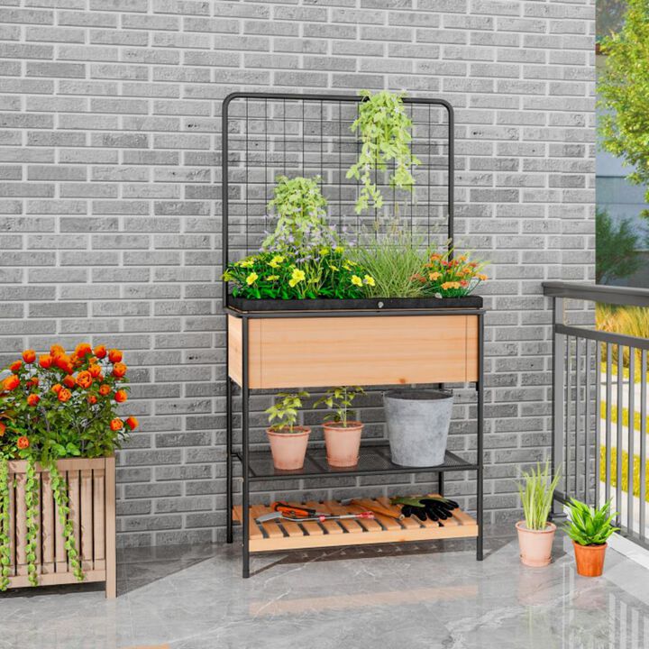Hivvago Raised Garden Bed with Trellis 2-tier Storage Shelves