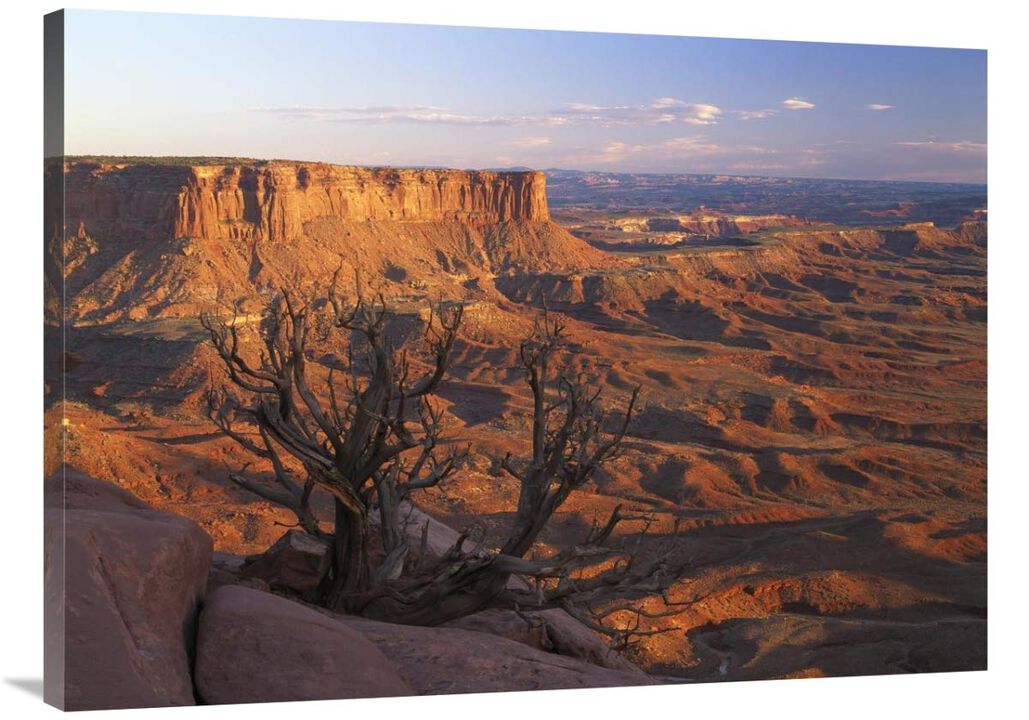 View from Green River overlook, Canyonlands National Park, Utah-Canvas Art-40x30