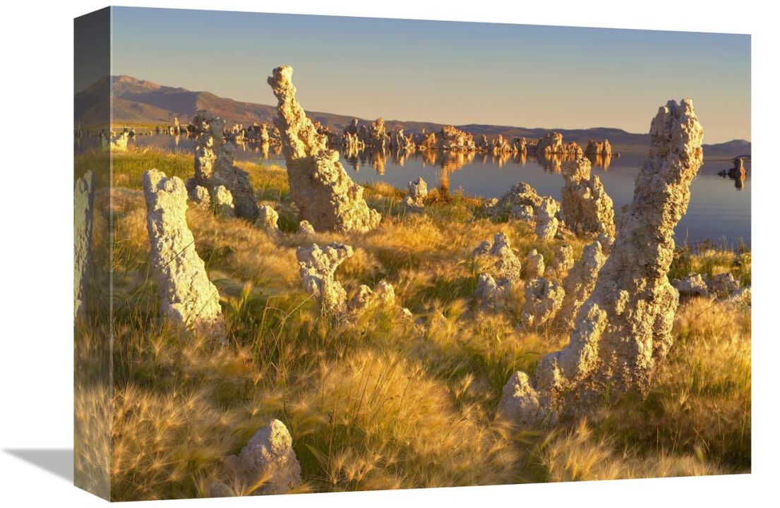 Wind and rain eroded tufa towers amid Squirreltail Barley Mono Lake, California-Canvas Art-16x12