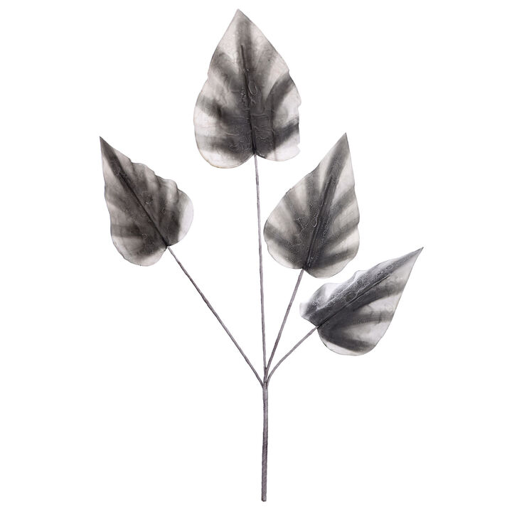 Alocasia Stem