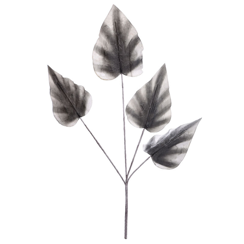 Alocasia Stem