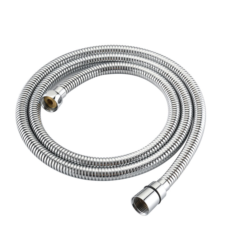 Stainless Steel Dual Shower Head Set